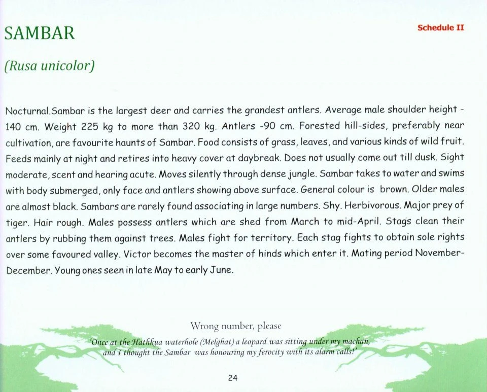 The Wild Mammals Of Maharashtra 3 The Wild Mammals Of Maharashtra - Image 3