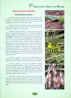 Fruiting Trees Of Delhi -Rode Sales Store 214841 2