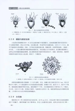 Biological Research On The Large Jellyfish From Bohai Sea And Northern Yellow Sea [Chinese] -Rode Sales Store 215649 3