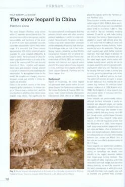 Cats In China [English / Chinese] -Rode Sales Store 215651 2