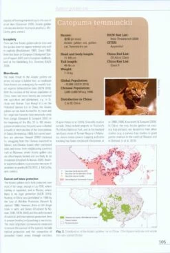 Cats In China [English / Chinese] -Rode Sales Store 215651 4