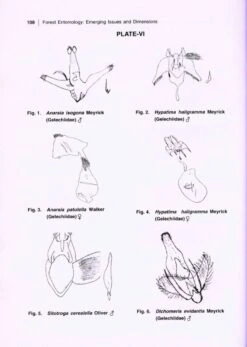 Forest Entomology -Rode Sales Store 215749 2