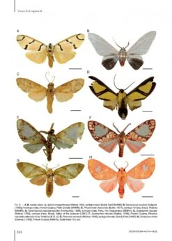 Catalogue Of The Neotropical Arctiini Leach, [1815] -Rode Sales Store 215984 2