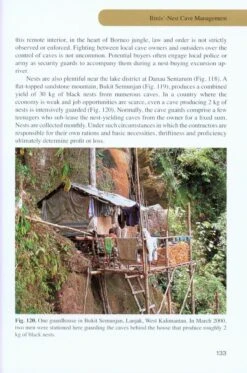 Swiftlets Of Borneo -Rode Sales Store 216245 4