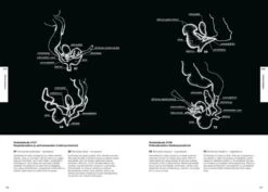 Suomen Kotilot Ja Etanat [Snails And Slugs Of Finland] -Rode Sales Store 216537 8