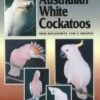 A Guide To Australian White Cockatoos