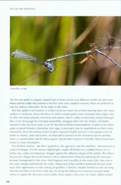 On The Margins -Rode Sales Store 217023 2