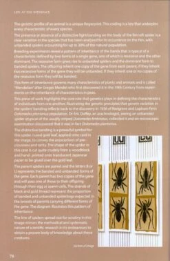 On The Margins -Rode Sales Store 217023 3