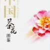 Camellias Of China [English / Chinese]