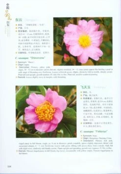 Camellias Of China [English / Chinese] -Rode Sales Store 217717 3