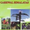 Medico Botany Of Garhwal Himalayas