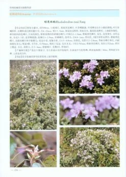 Atlas Of Wetland Common Plants In Guizhou Province [Chinese] -Rode Sales Store 217782 2