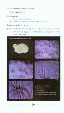 Handbook On Agariciids Of Andaman And Nicobar Islands -Rode Sales Store 217954 3