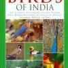 A Photographic Guide To The Birds Of India