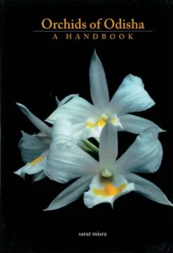 Orchids Of Odisha