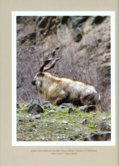 CIC Caprinae Atlas Of The World (2-Volume Set) -Rode Sales Store 218886 10