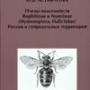 Pchely Podsemeistv Rophitinae I Nomiinae (Hymenoptera, Halictidae) Rossii I Sopredel'nykh Territorii [Bees Of The Subfamilies Rophitinae And Nomiinae (Hymenoptera, Halictidae) Of Russia And Adjacent Territories]