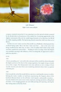 A Natural History Of Lighthouses -Rode Sales Store 220066 3