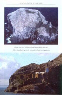 A Natural History Of Lighthouses -Rode Sales Store 220066 4