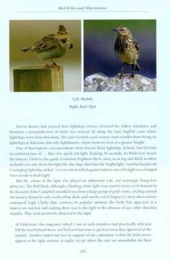 A Natural History Of Lighthouses -Rode Sales Store 220066 5