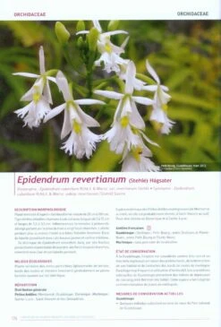 Livre Rouge Des Plantes Menacées Aux Antilles Françaises [Red Book Of Endangered Plants In The French West Indies] -Rode Sales Store 220088 3