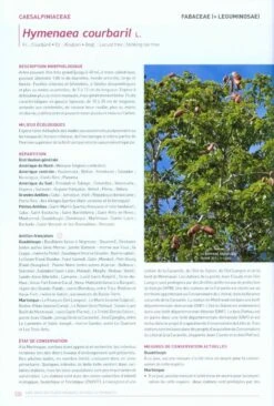 Livre Rouge Des Plantes Menacées Aux Antilles Françaises [Red Book Of Endangered Plants In The French West Indies] -Rode Sales Store 220088 5