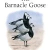 The Barnacle Goose