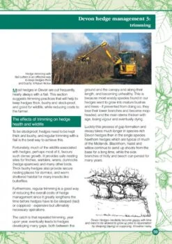 Devon Hedges -Rode Sales Store 221637 5