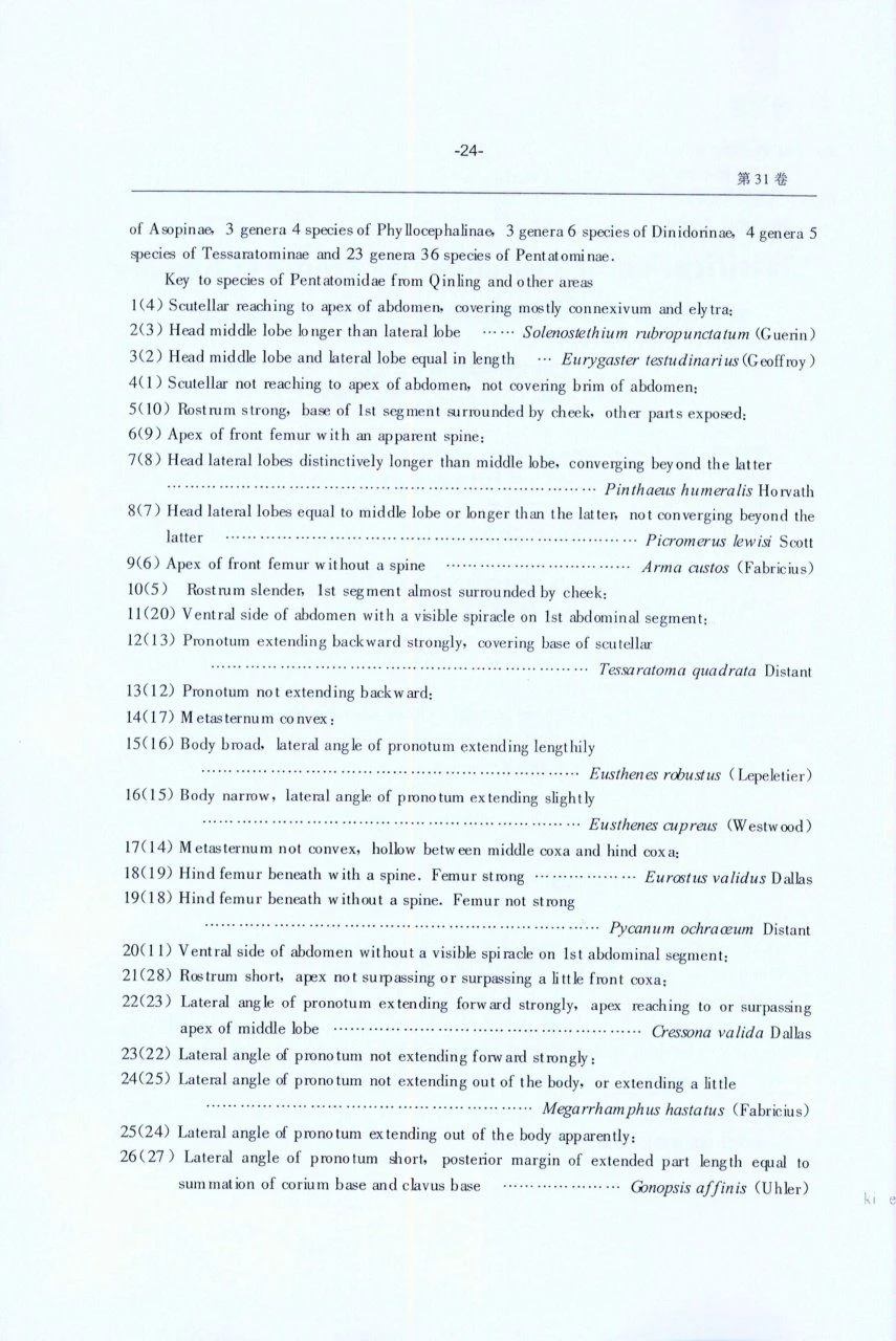 Research Materials On Pentatomidae In China 2 Research Materials On Pentatomidae In China - Image 2
