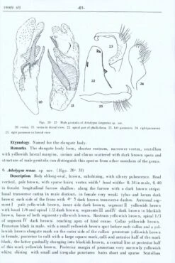 Research Materials On Pentatomidae In China 7 Research Materials On Pentatomidae In China -Rode Sales Store 223419 2
