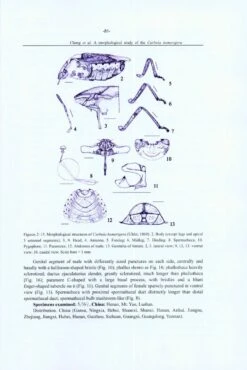 Research Materials On Pentatomidae In China 9 Research Materials On Pentatomidae In China -Rode Sales Store 223419 4