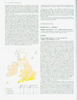 Hybrid Flora Of The British Isles -Rode Sales Store 223449 3