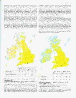 Hybrid Flora Of The British Isles -Rode Sales Store 223449 4