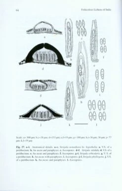 Foliicolous Lichens Of India -Rode Sales Store 223592 3