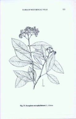 Flora Of West Bengal, Volume 2 -Rode Sales Store 223998 4