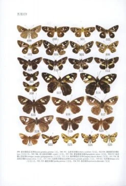 Fauna Sinica: Insecta, Volume 55: Lepidoptera: Hesperiidae [Chinese] -Rode Sales Store 224489 2