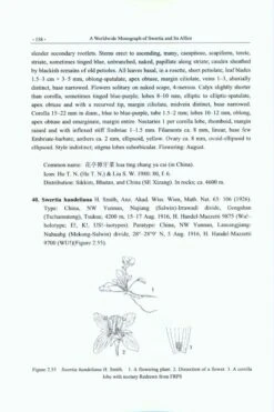 A Worldwide Monograph Of Swertia And Its Allies -Rode Sales Store 224714 2