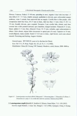 A Worldwide Monograph Of Swertia And Its Allies -Rode Sales Store 224714 4