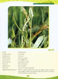 Medicinal Plant Repertoire 9 Medicinal Plant Repertoire -Rode Sales Store 225314 4
