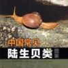 Illustrated Handbook Of Common Terrestrial Mollusks In China [Chinese]