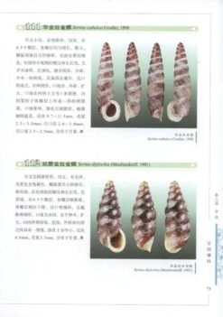 Illustrated Handbook Of Common Terrestrial Mollusks In China [Chinese] -Rode Sales Store 225664 2