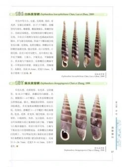 Illustrated Handbook Of Common Terrestrial Mollusks In China [Chinese] -Rode Sales Store 225664 3