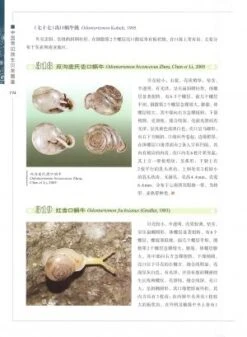 Illustrated Handbook Of Common Terrestrial Mollusks In China [Chinese] -Rode Sales Store 225664 5