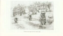 The Majestic Lions Of Gir -Rode Sales Store 225665 3