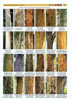 Ornamental Trees Of India -Rode Sales Store 225666 2