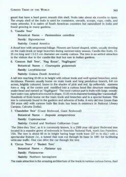 Ornamental Trees Of India -Rode Sales Store 225666 4