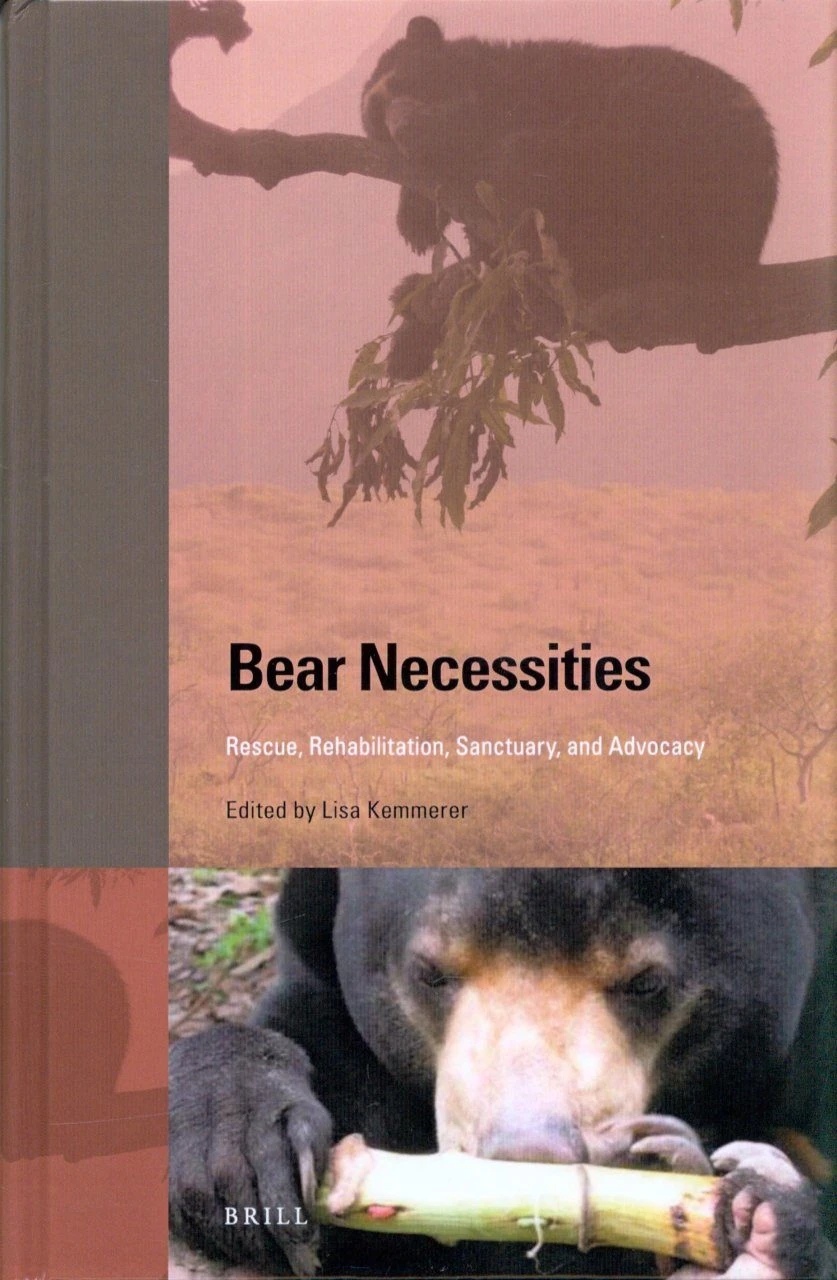 Bear Necessities 1 Bear Necessities
