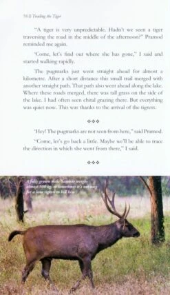 Trailing The Tiger 6 Trailing The Tiger -Rode Sales Store 226186 2