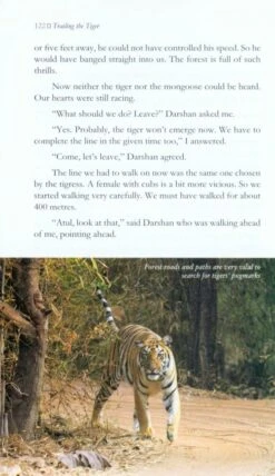 Trailing The Tiger 7 Trailing The Tiger -Rode Sales Store 226186 3