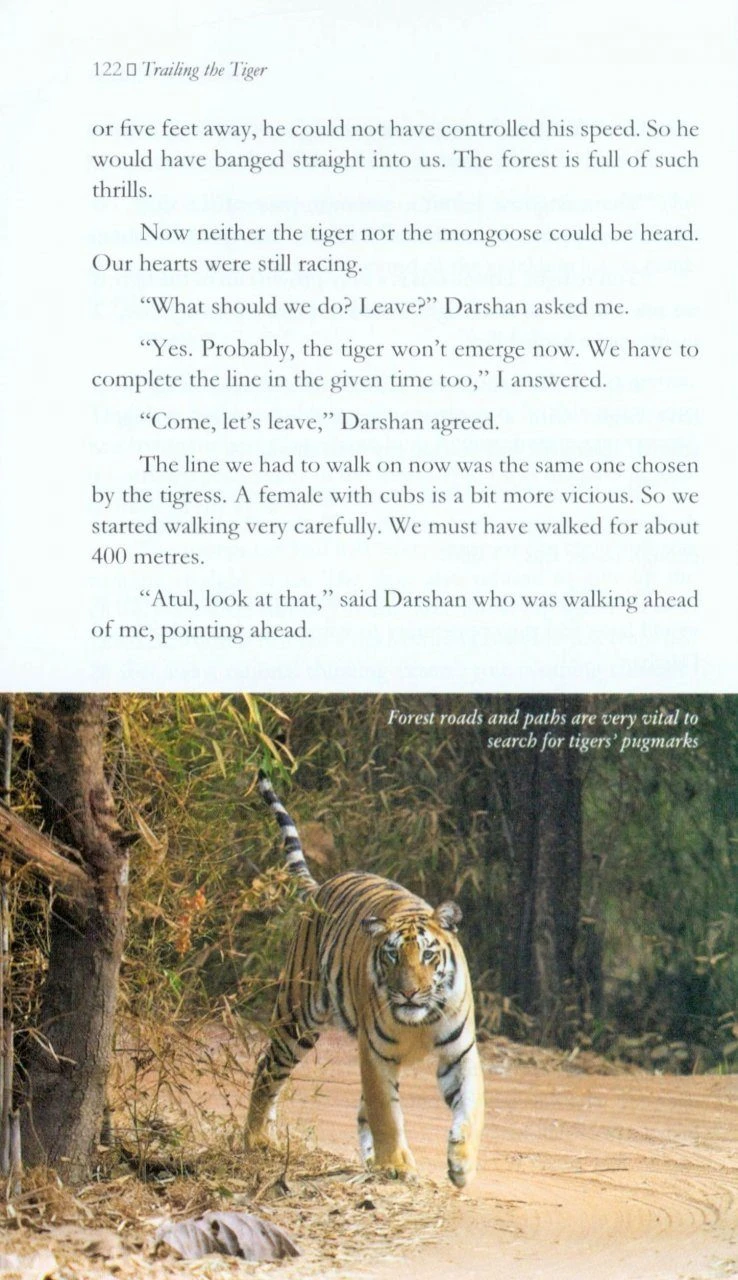 Trailing The Tiger 4 Trailing The Tiger - Image 4